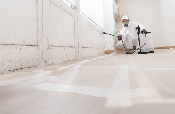 24/7 Emergency Mold Remediation experts in Warrington, FL